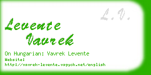 levente vavrek business card